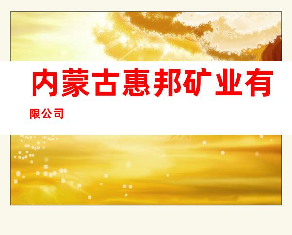 内蒙古惠邦矿业有限公司